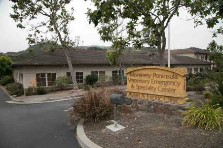 monterey veterinary clinic