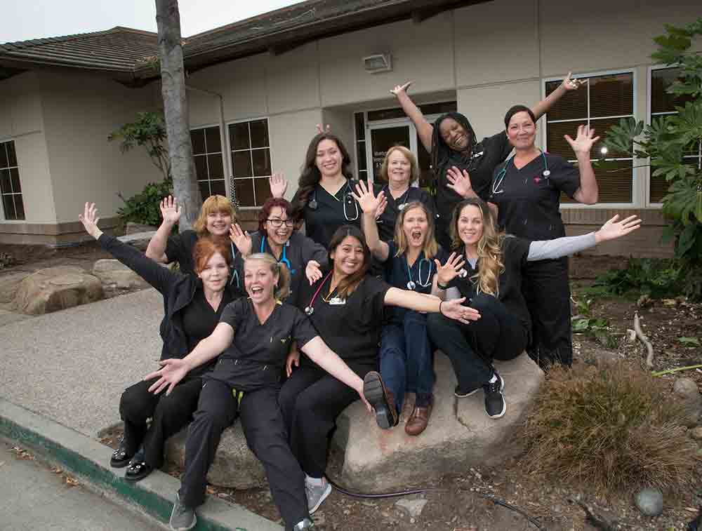 monterey veterinary clinic