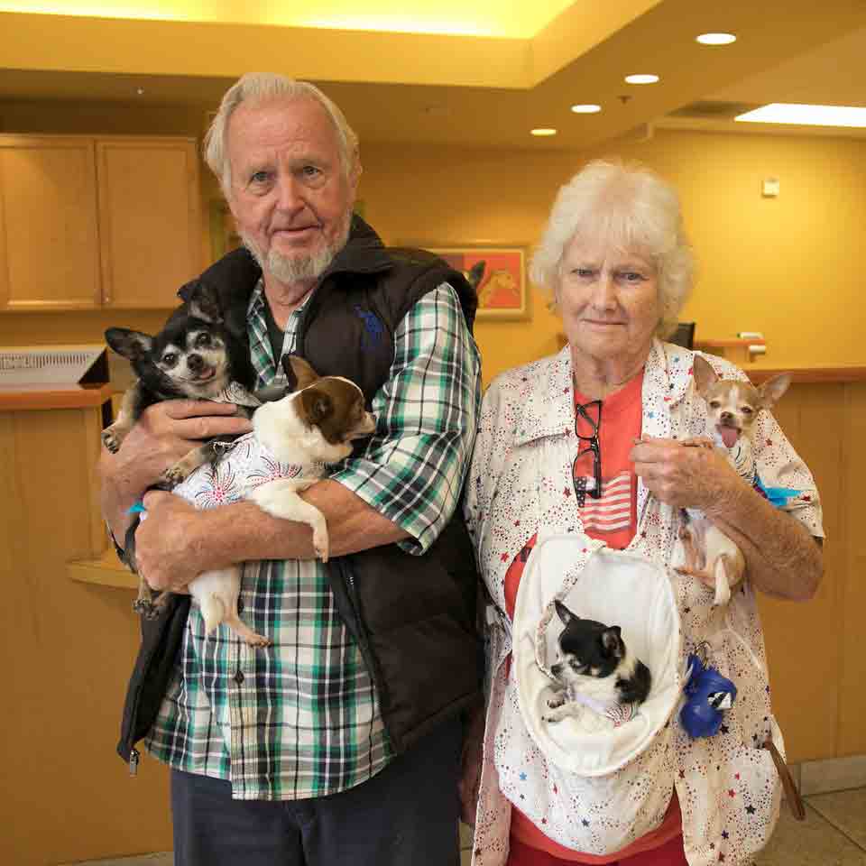 couple with dogs